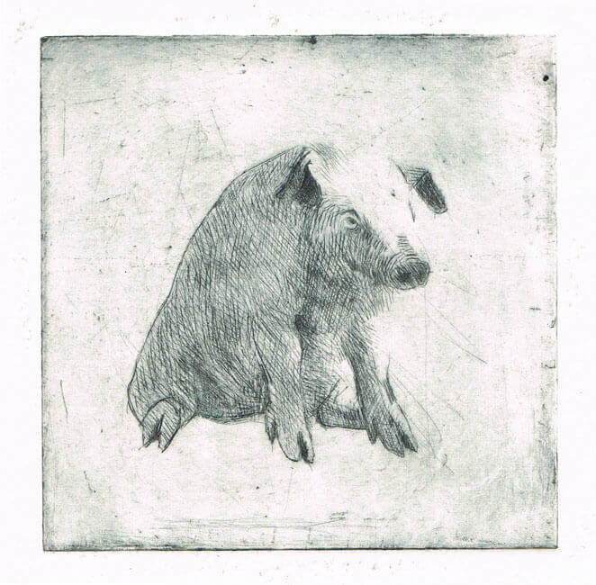 pigz drypoint 2017