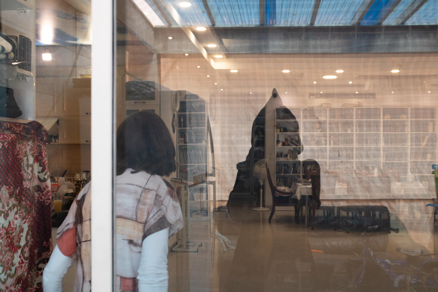 הזיות אצל שפויים בדעתם - 14 - אלישבע גברא