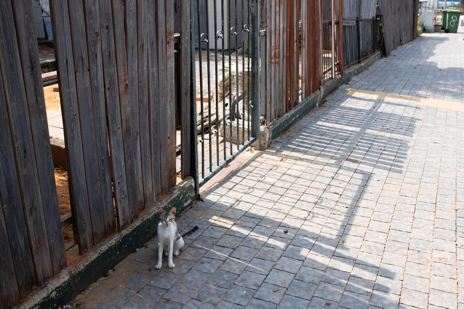 הזיות אצל שפויים בדעתם - 2 - אלישבע גברא