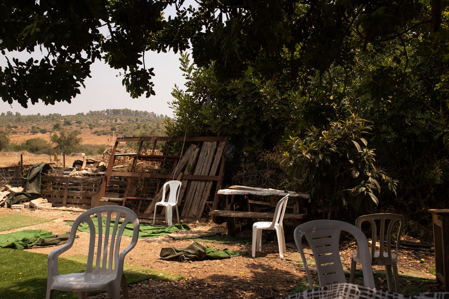 הזיות אצל שפויים בדעתם - 5 - אלישבע גברא