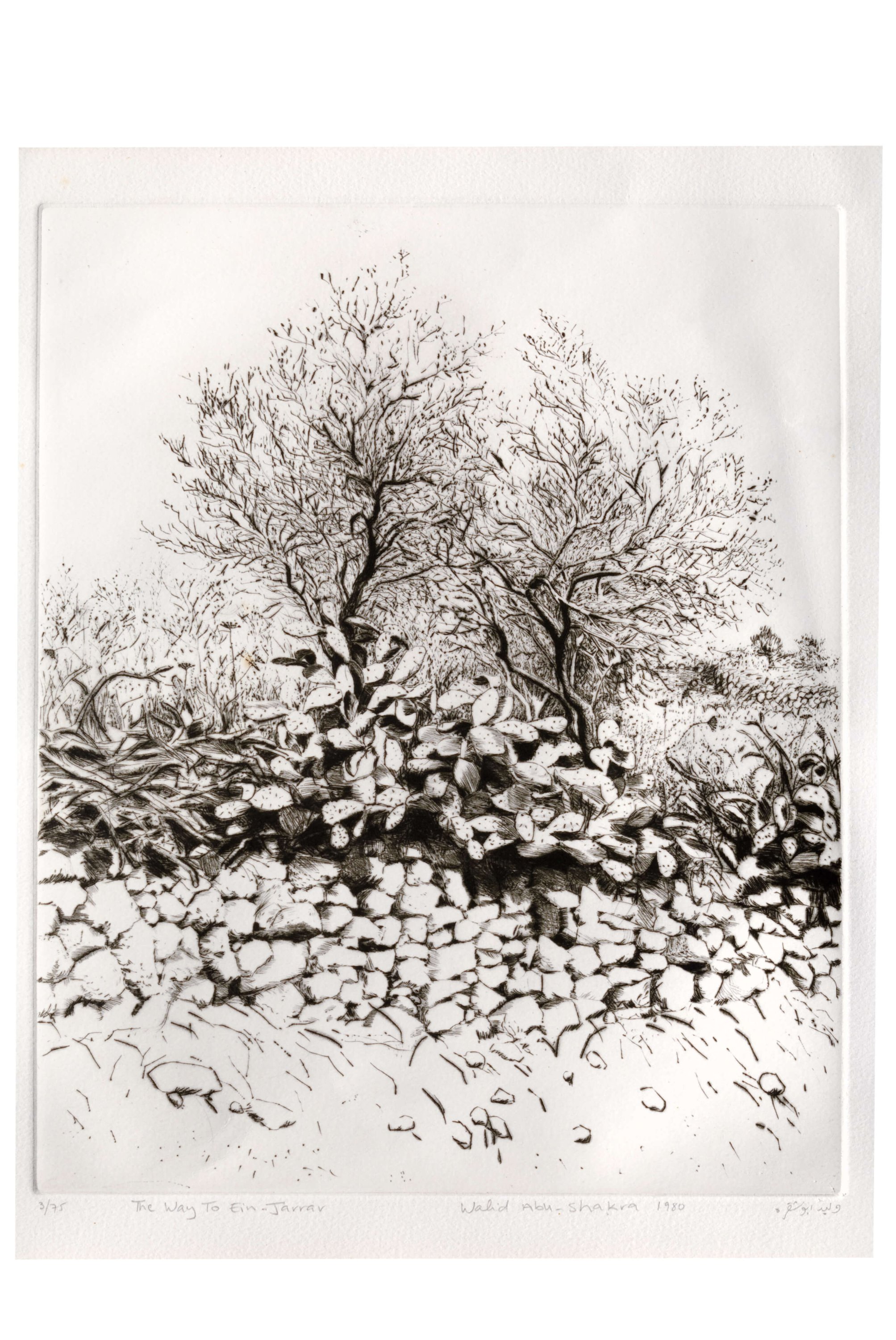 הדרך לעין ג'ראר, 1980, תחריט יבש והדפס על נייר, 34\27 ס"מ