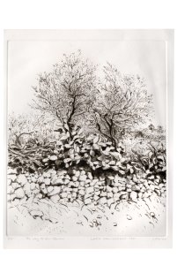 הדרך לעין ג'ראר, 1980, תחריט יבש והדפס על נייר, 34\27 ס"מ