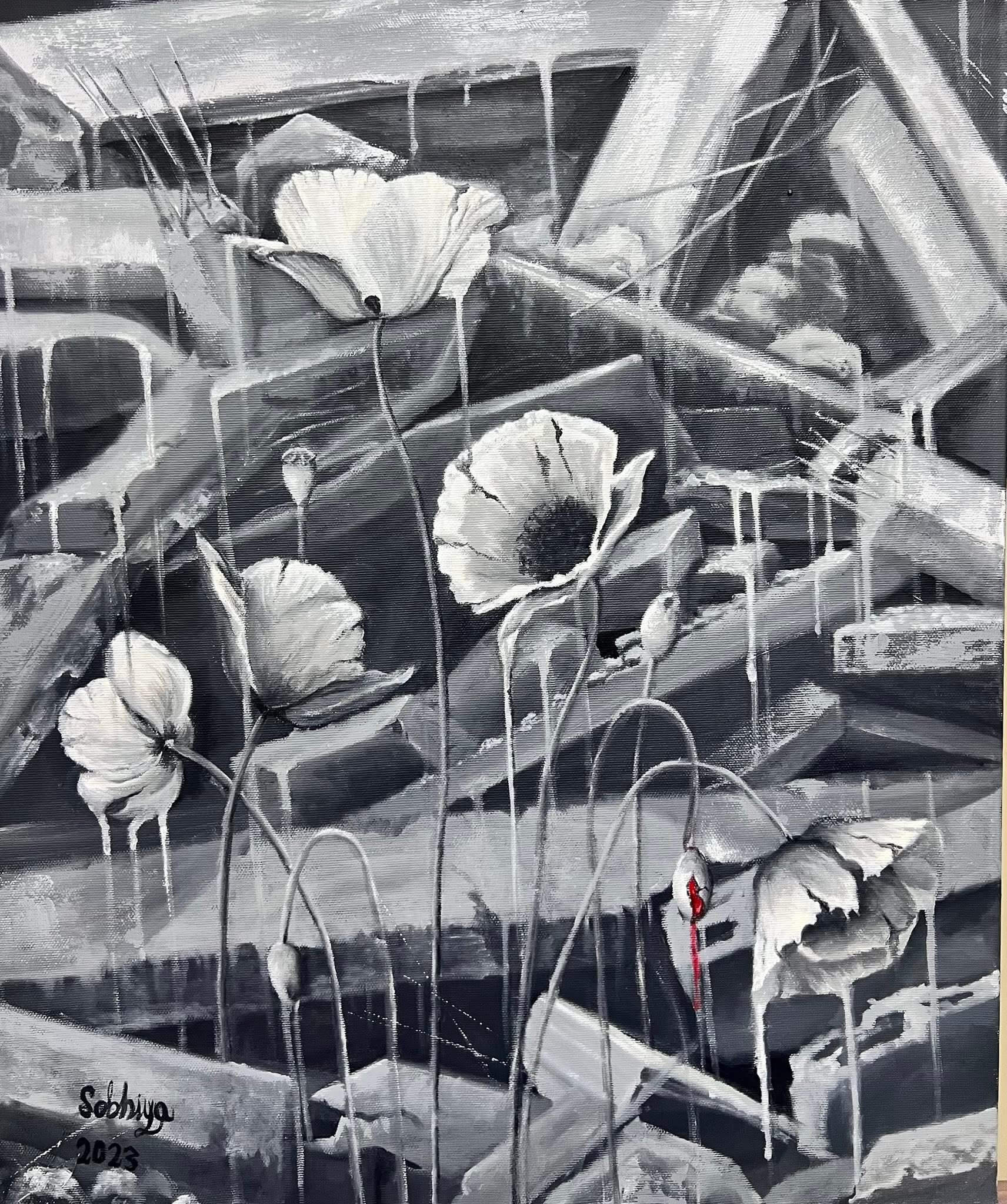 כלניות, 2023, שמן על בד, 5040 ס"מ כלניות, 2023, שמן על בד, 50\40 ס"מ