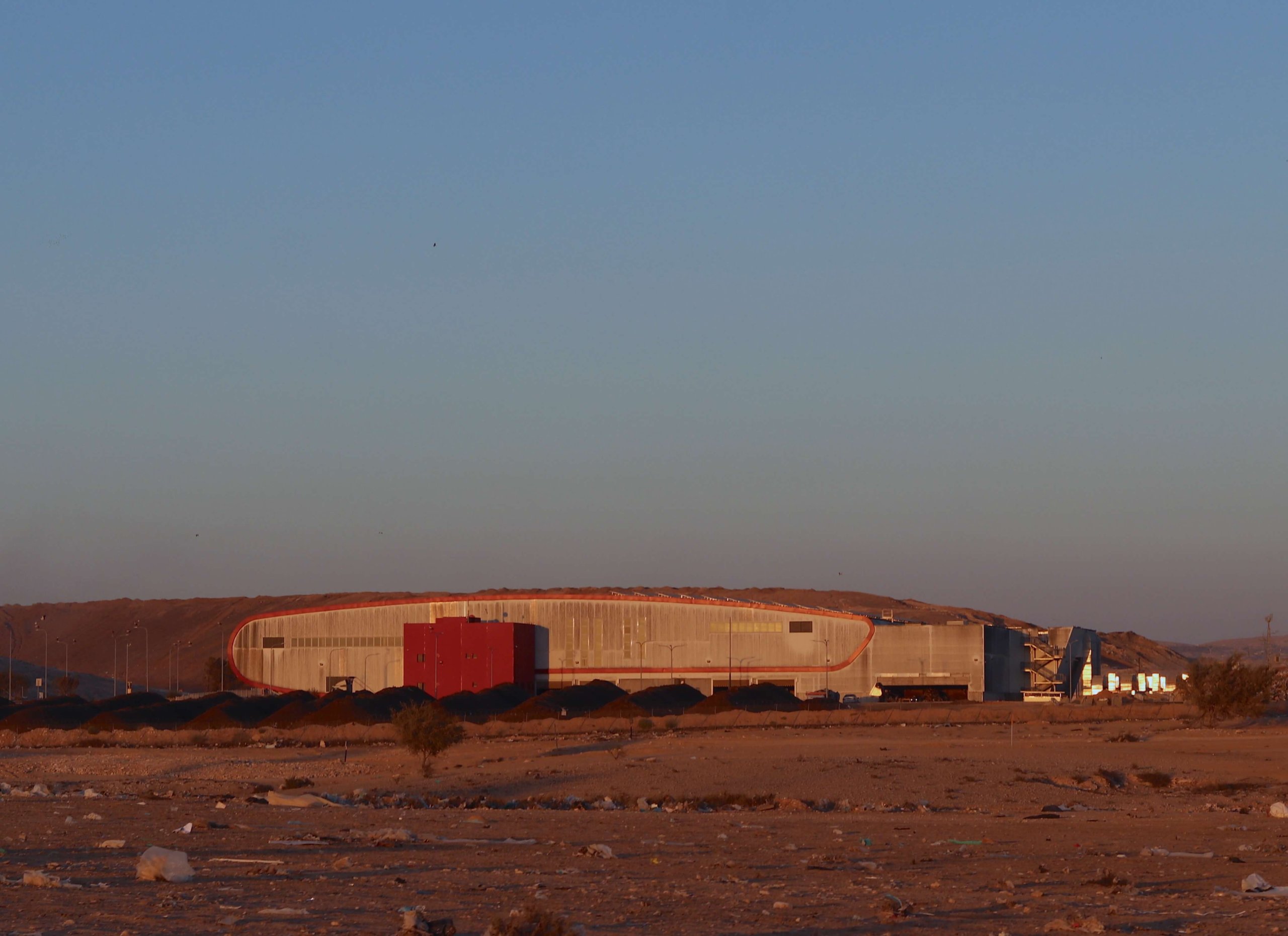 ׳דודאים׳,1 2024, צילום דיגיטלי