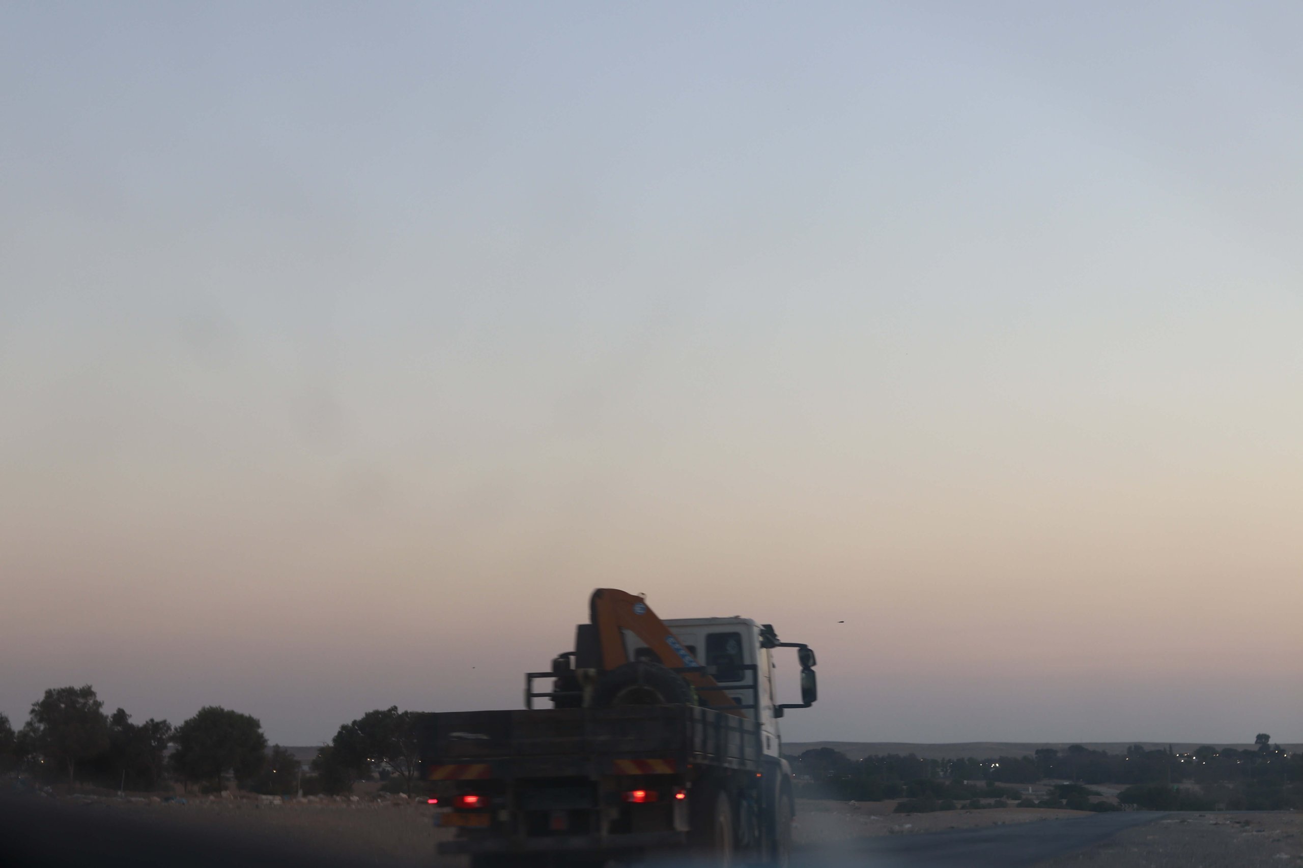 ׳דודאים׳ 2, 2024, צילום דיגיטלי