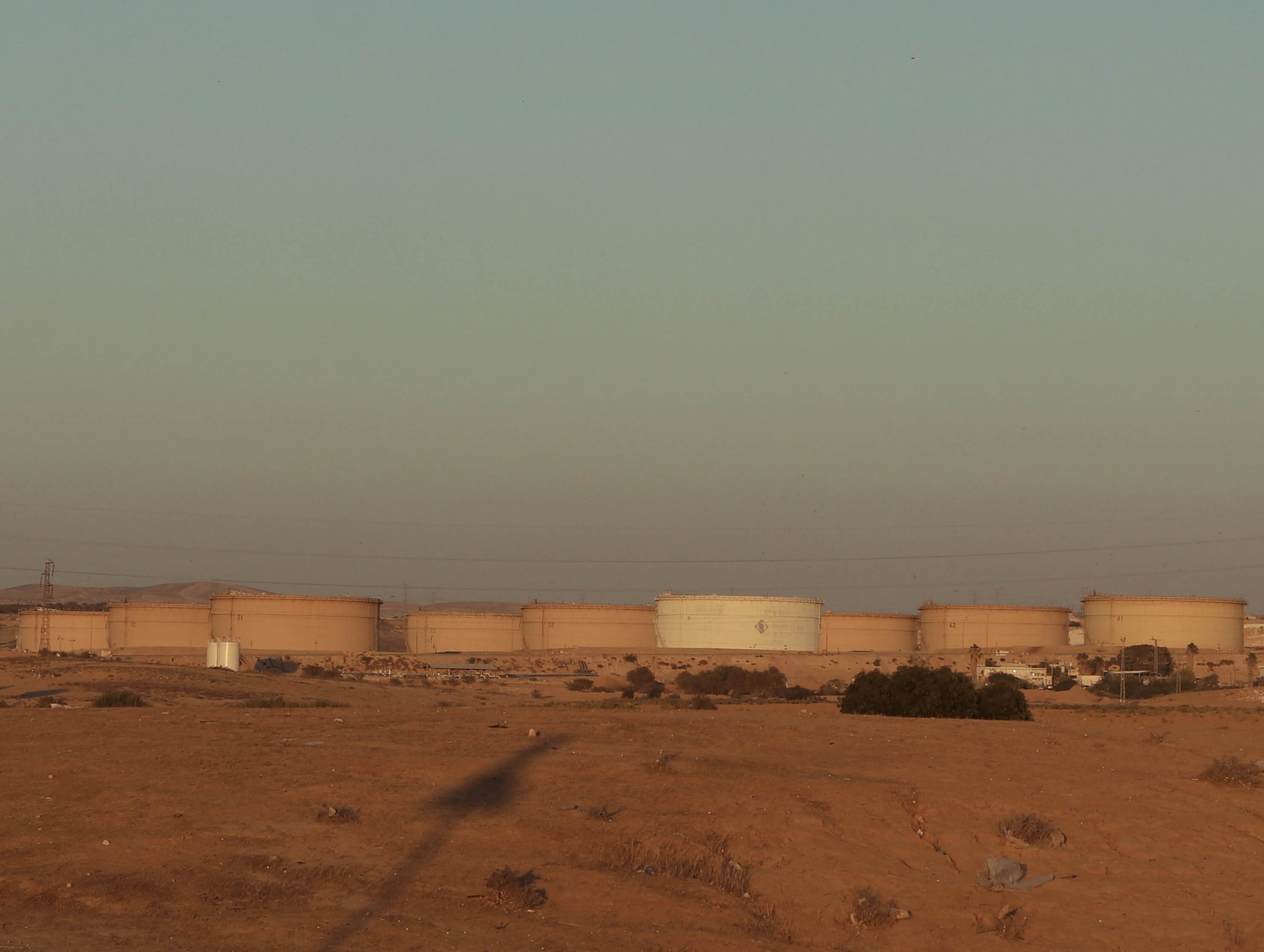 ׳דודאים׳,3 2024, צילום דיגיטלי