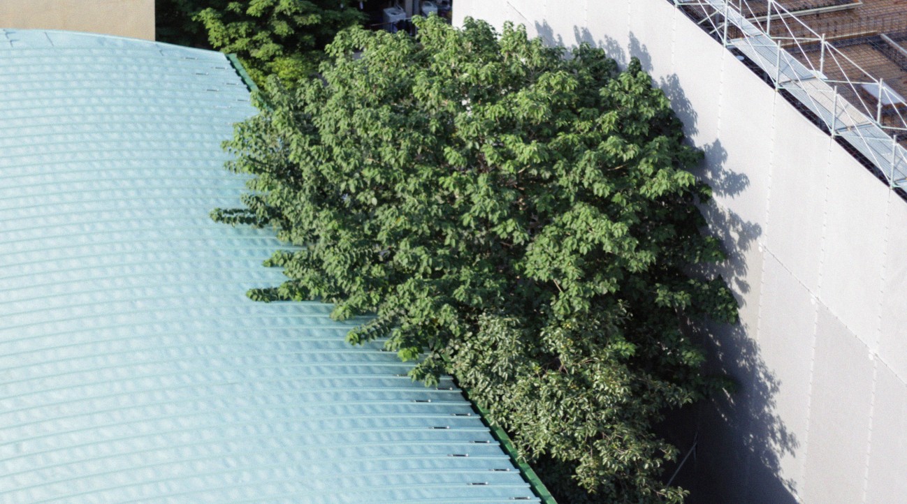 עיר־ריקוד בין ייאוש לאמונה