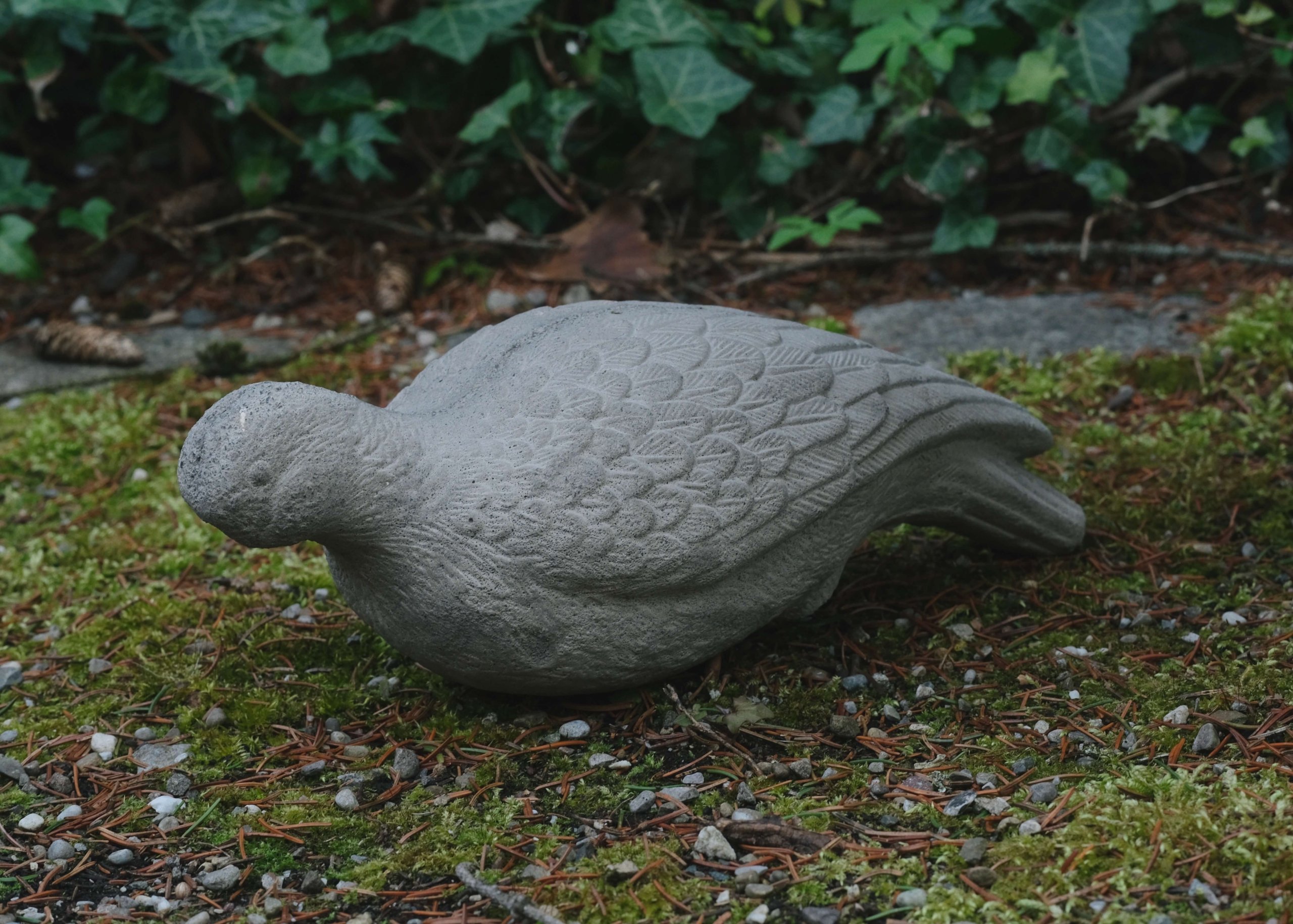 Plastic Pigeon