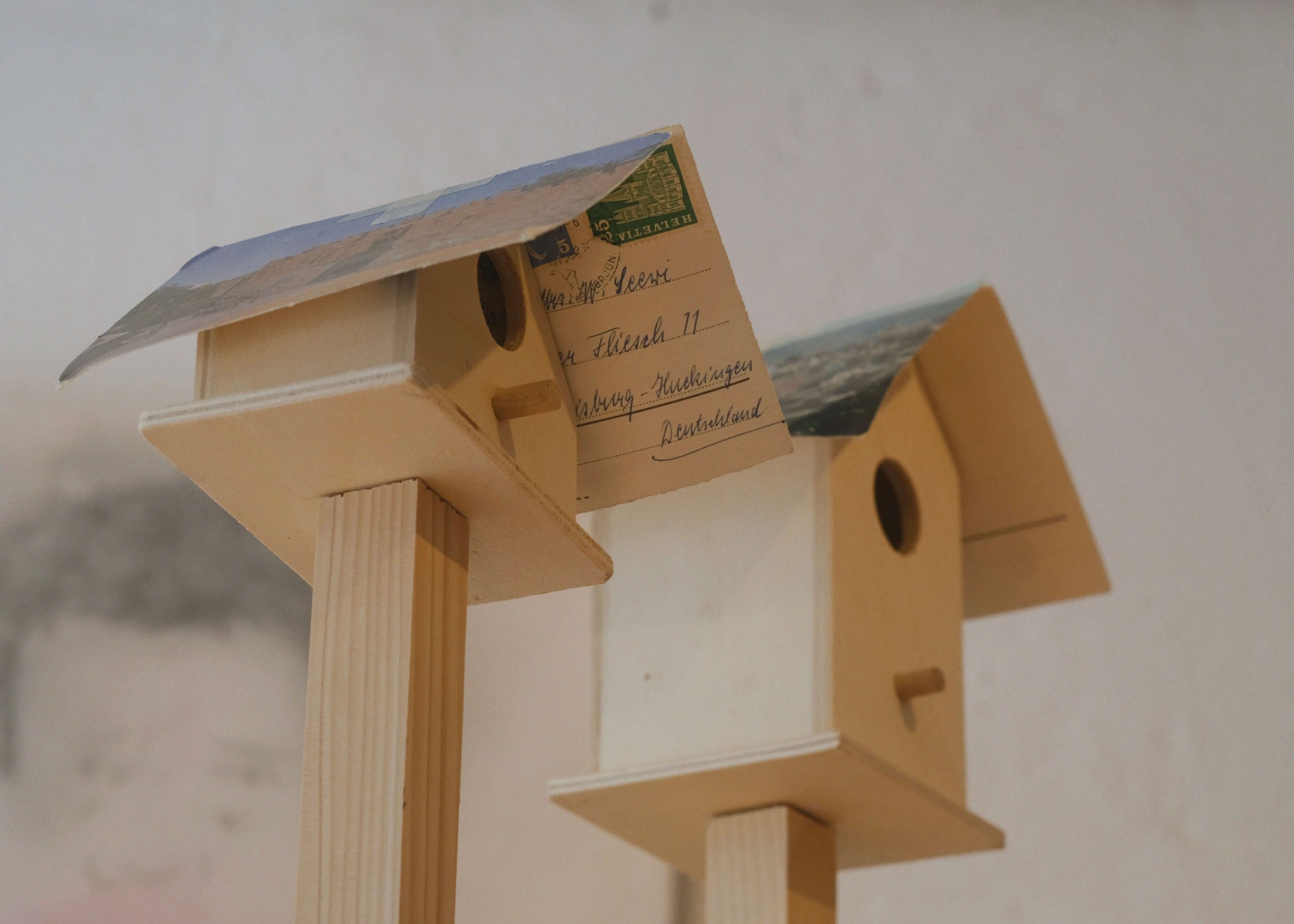 Please Don't Feed the Birds