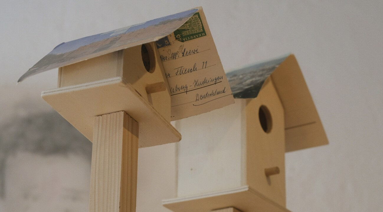 Please Don't Feed the Birds